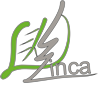 Linca